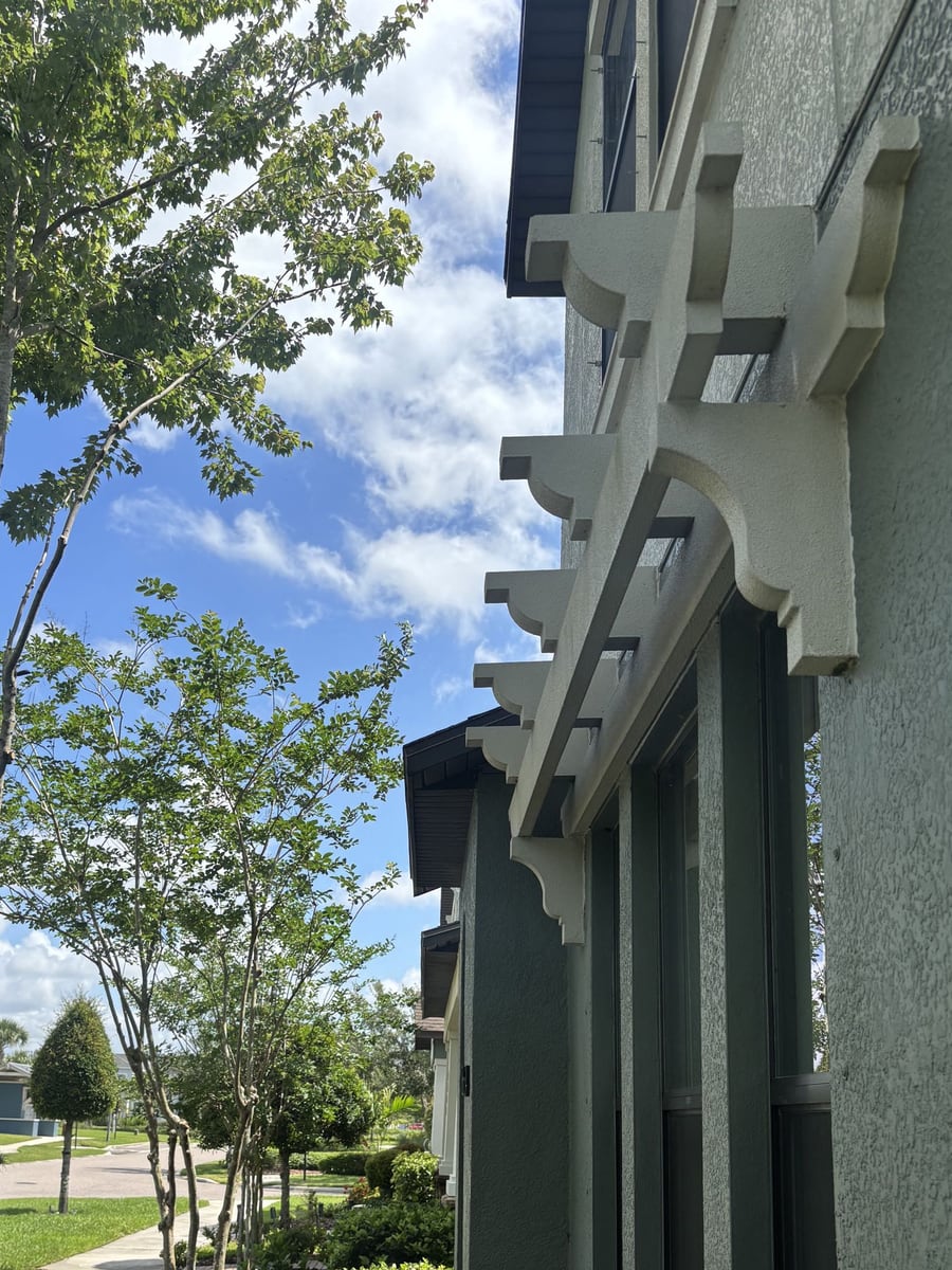 Residential tree after pruning with cleaner clearance beside the roofline